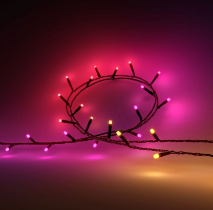 Philips Hue White and colour ambience Festavia string lights, Smart string light